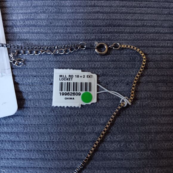 Floating Locket Silver Round Pendant With 18" Chain - Picture 7 of 7